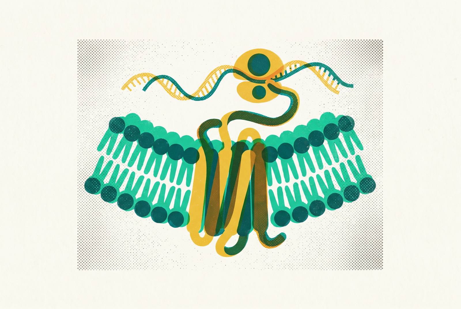Cover illustration for “Membrane Protein Expression in Cell-Free Systems”