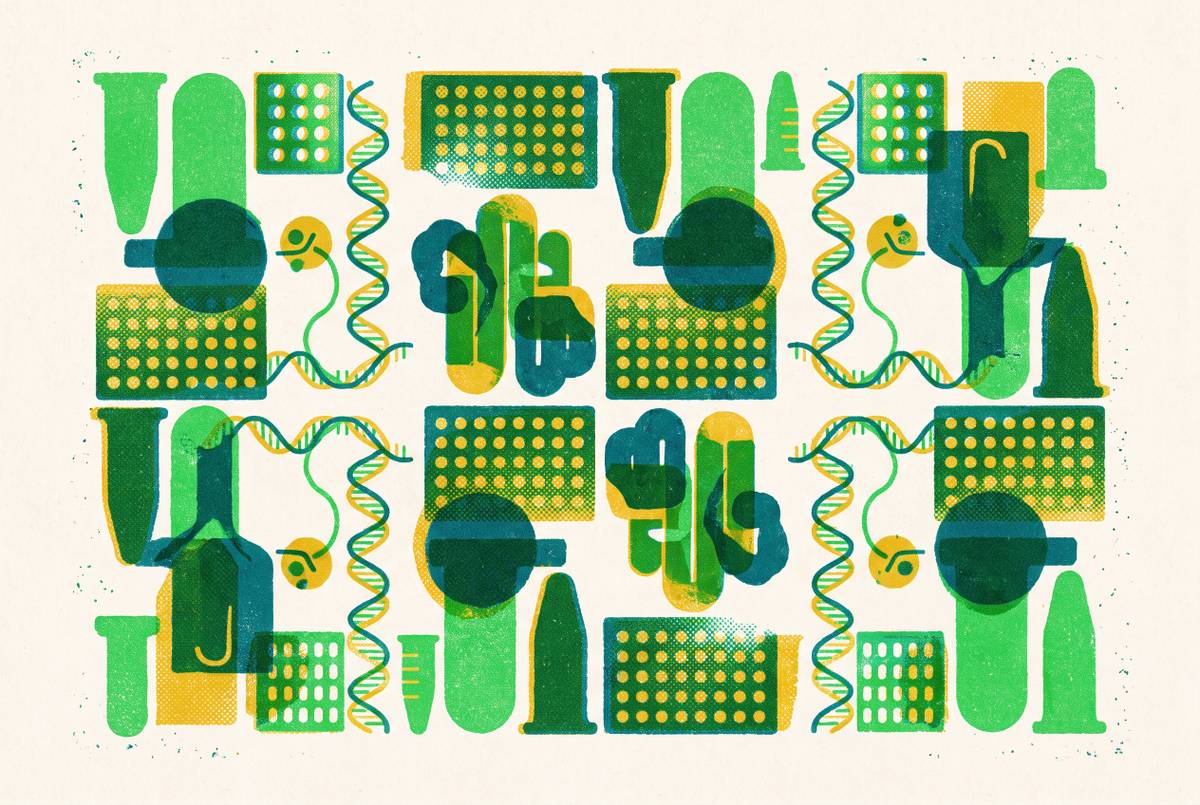 Cover illustration for “Interlaboratory Reproducibility Standards for Cell-Free Protein Synthesis”