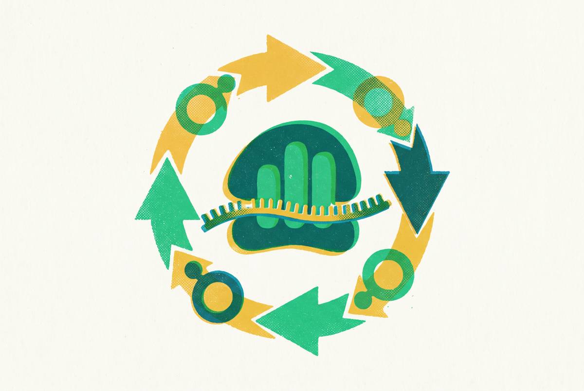 Cover illustration for “Energy Regeneration Systems in Cell-Free Protein Synthesis”