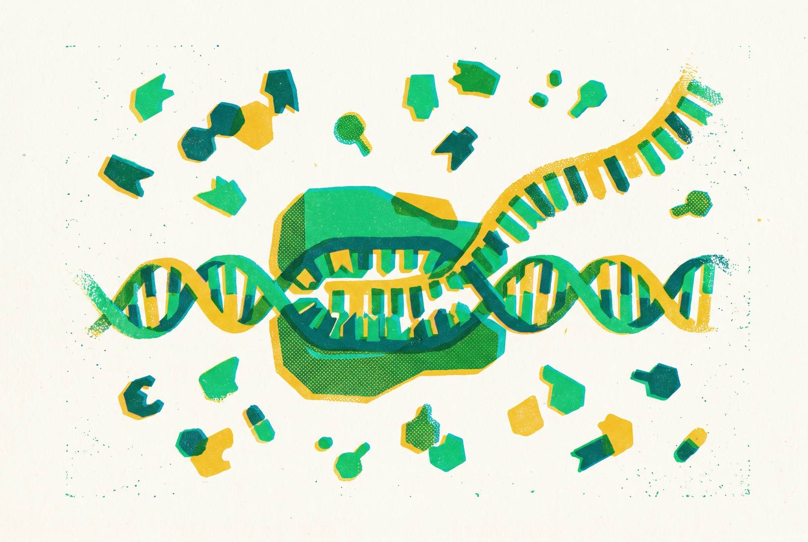 Cover illustration for “T7 RNA Polymerase Promoter Choice in Cell-Free Transcription”