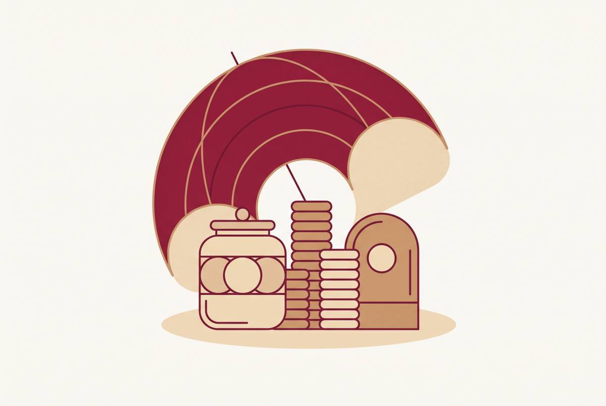Cover illustration for “Emergency Fund Placement Options for MFD Client Portfolios”