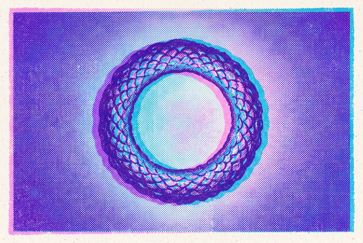 Cover illustration for “Ringworm Symptoms That Distinguish It From Other Ring-Shaped Rashes”