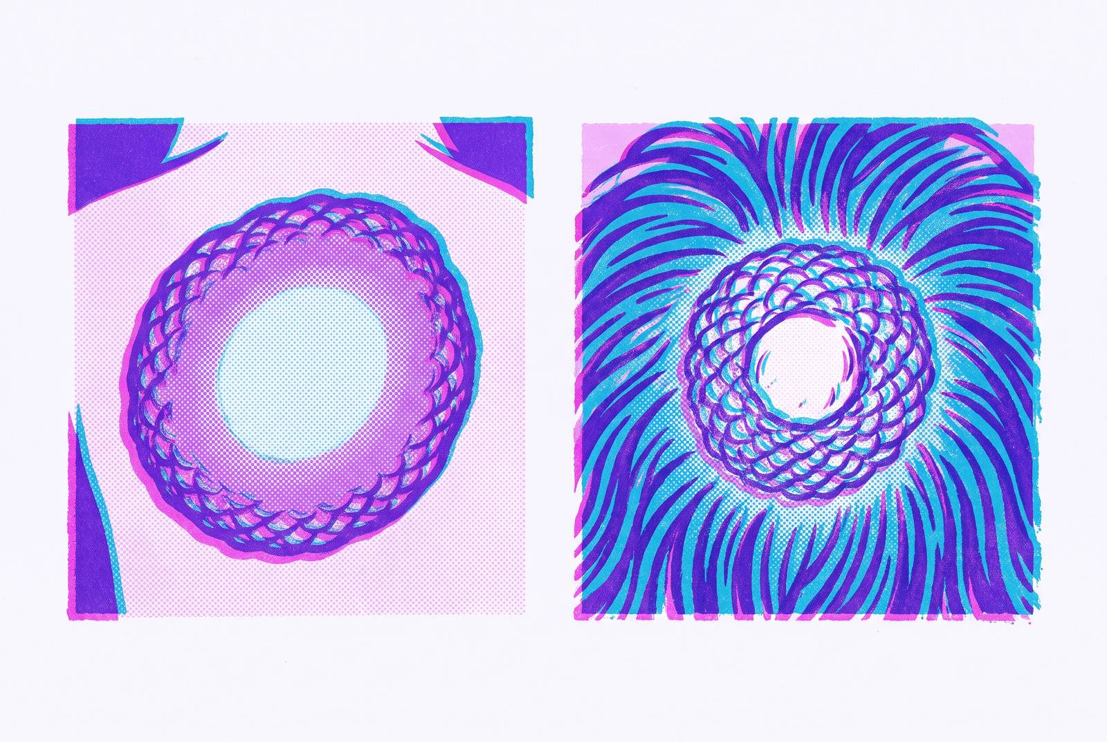Cover illustration for “Ringworm on Skin Versus Scalp Visual Differences”