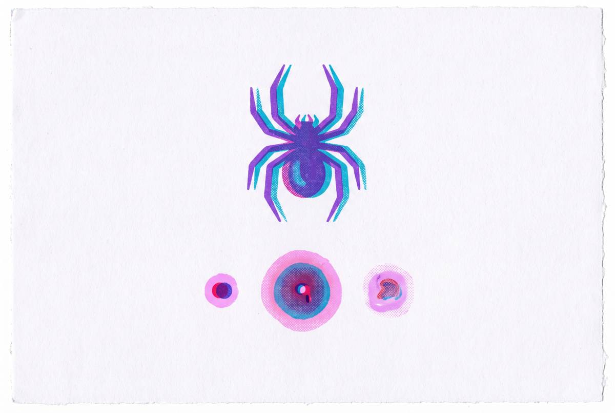 Cover illustration for “Spider Bite Progression and What Each Stage Looks Like”