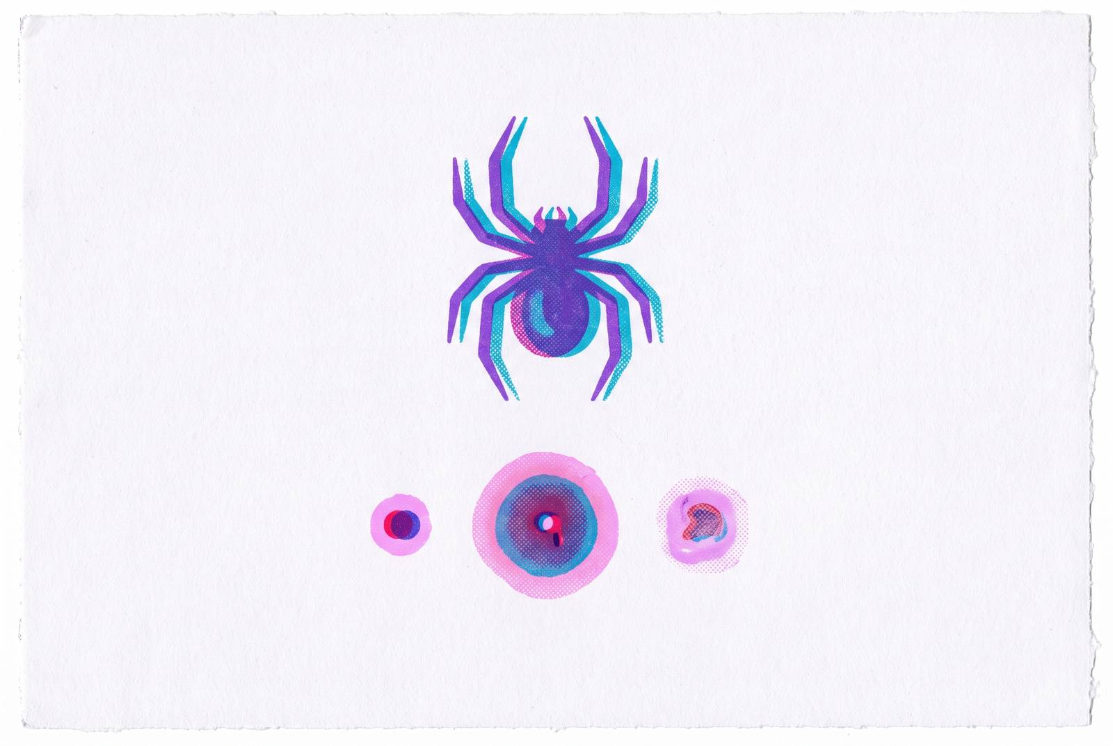 Cover illustration for “Spider Bite Progression and What Each Stage Looks Like”