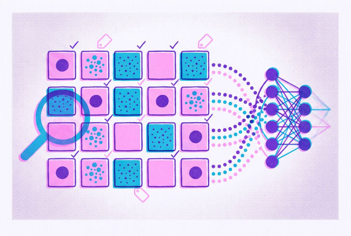Cover illustration for “Supervised Learning Datasets Behind Today's Leading Clinical Skin AI Platforms”