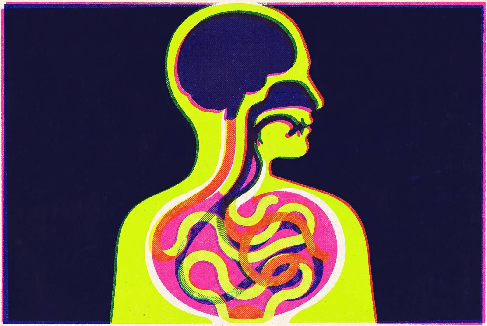 Cover illustration for “Vagal Tone and Vocal Steadiness Under Pressure”