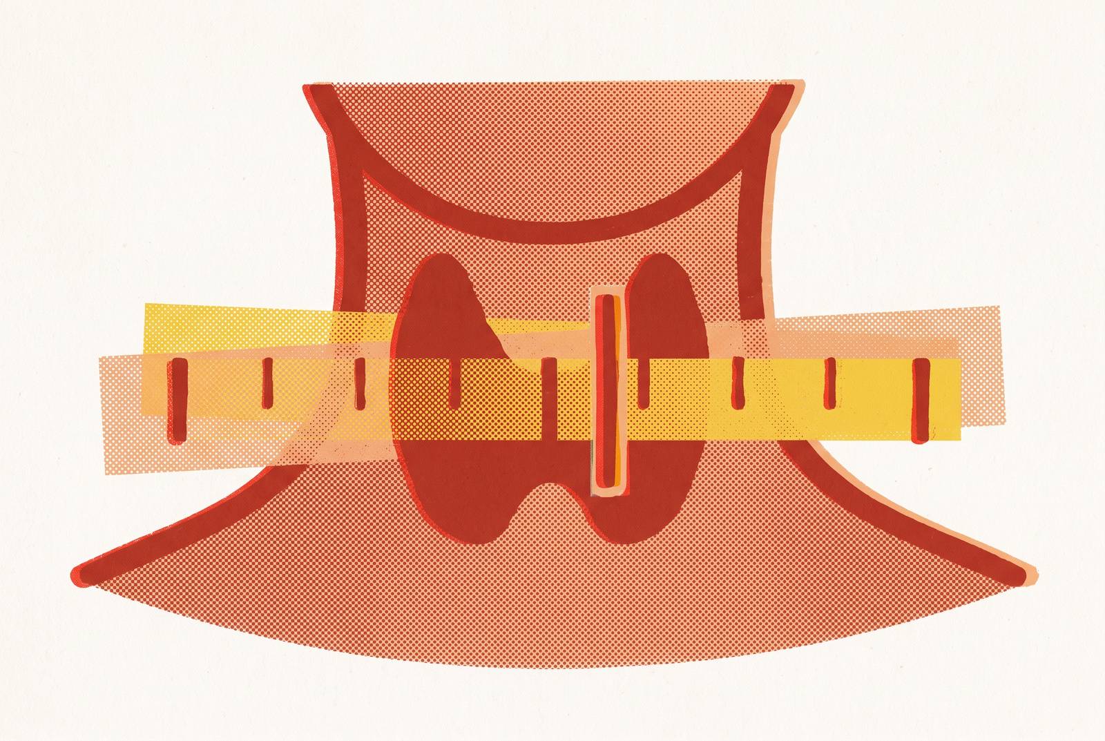 Cover illustration for “TSH Reference Range Controversy and Thyroid Diagnosis”