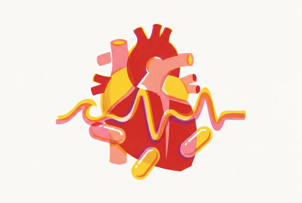 Cover illustration for “Omega-3 Index Testing and Cardiovascular Relevance”
