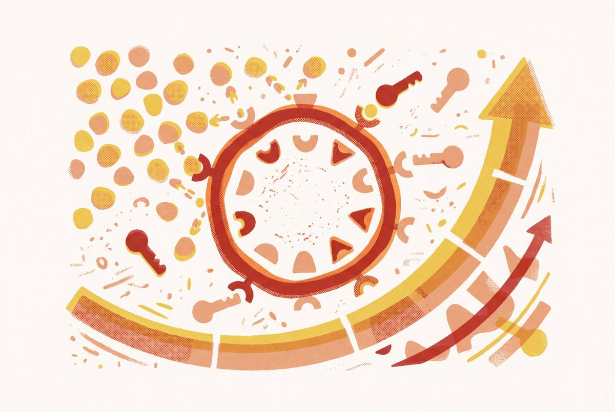 Cover illustration for “HOMA-IR Score Interpretation and Insulin Resistance”