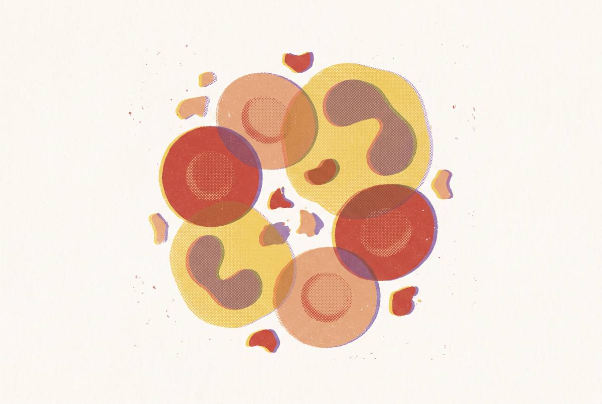 Cover illustration for “Complete Blood Count Interpretation for Non-Clinicians”