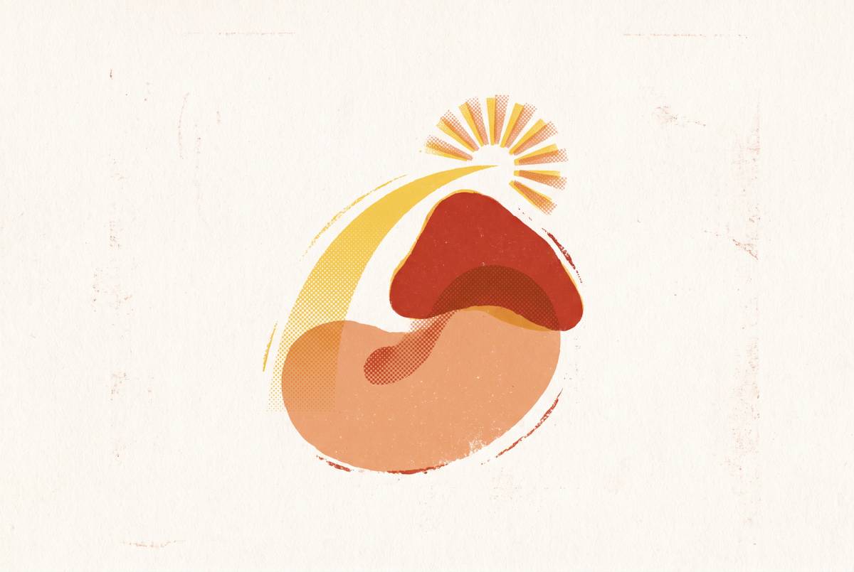 Cover illustration for “DHEA-S Levels as a Longevity and Adrenal Marker”