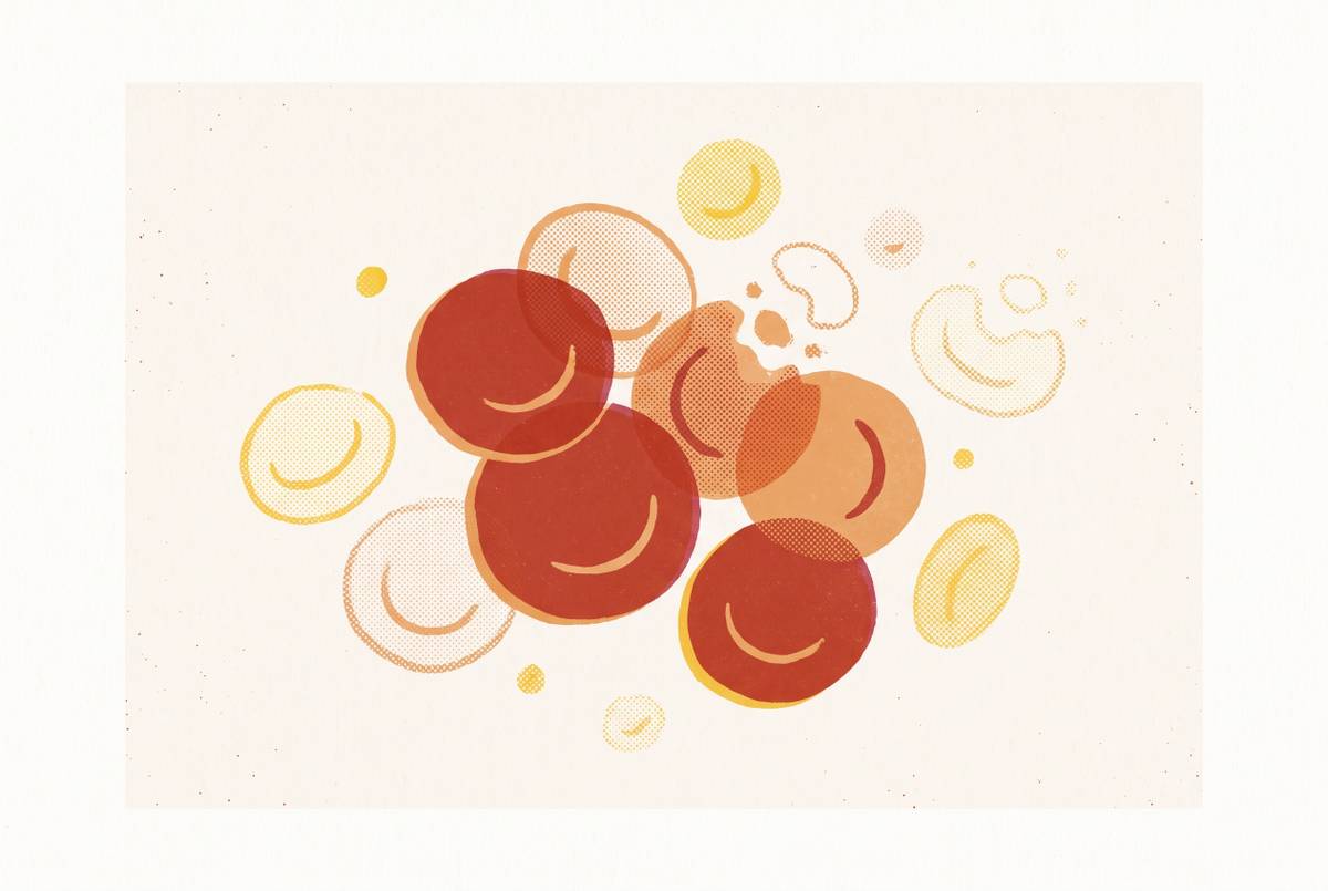 Cover illustration for “Low White Blood Cell Count Causes and Clinical Significance”
