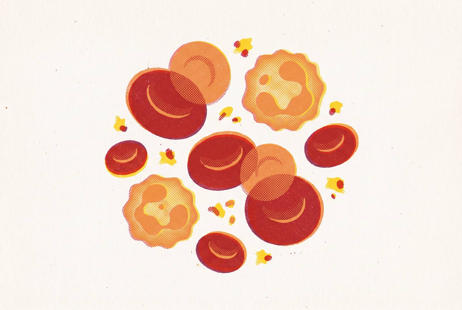Cover illustration for “Complete Blood Count Interpretation for Non-Clinicians”