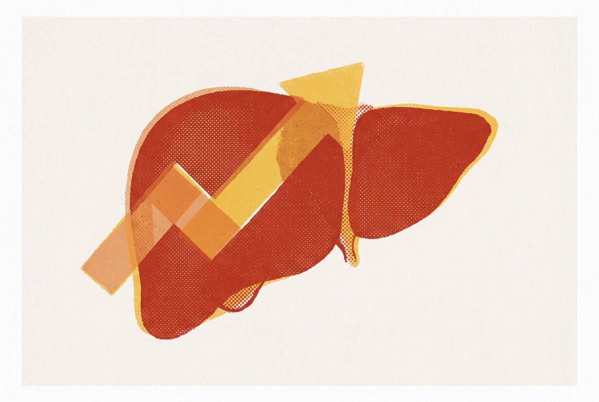 Cover illustration for “ALT and AST Liver Enzyme Results and What Elevation Means”