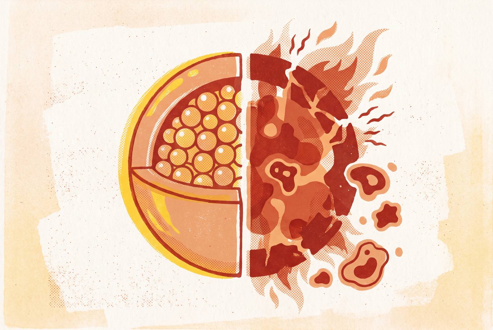 Cover illustration for “Ferritin as an Inflammation Marker Versus Iron Storage Marker”