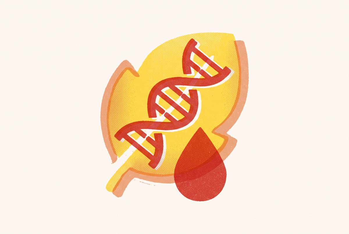 Cover illustration for “Folate Status Testing and the MTHFR Variant Context”