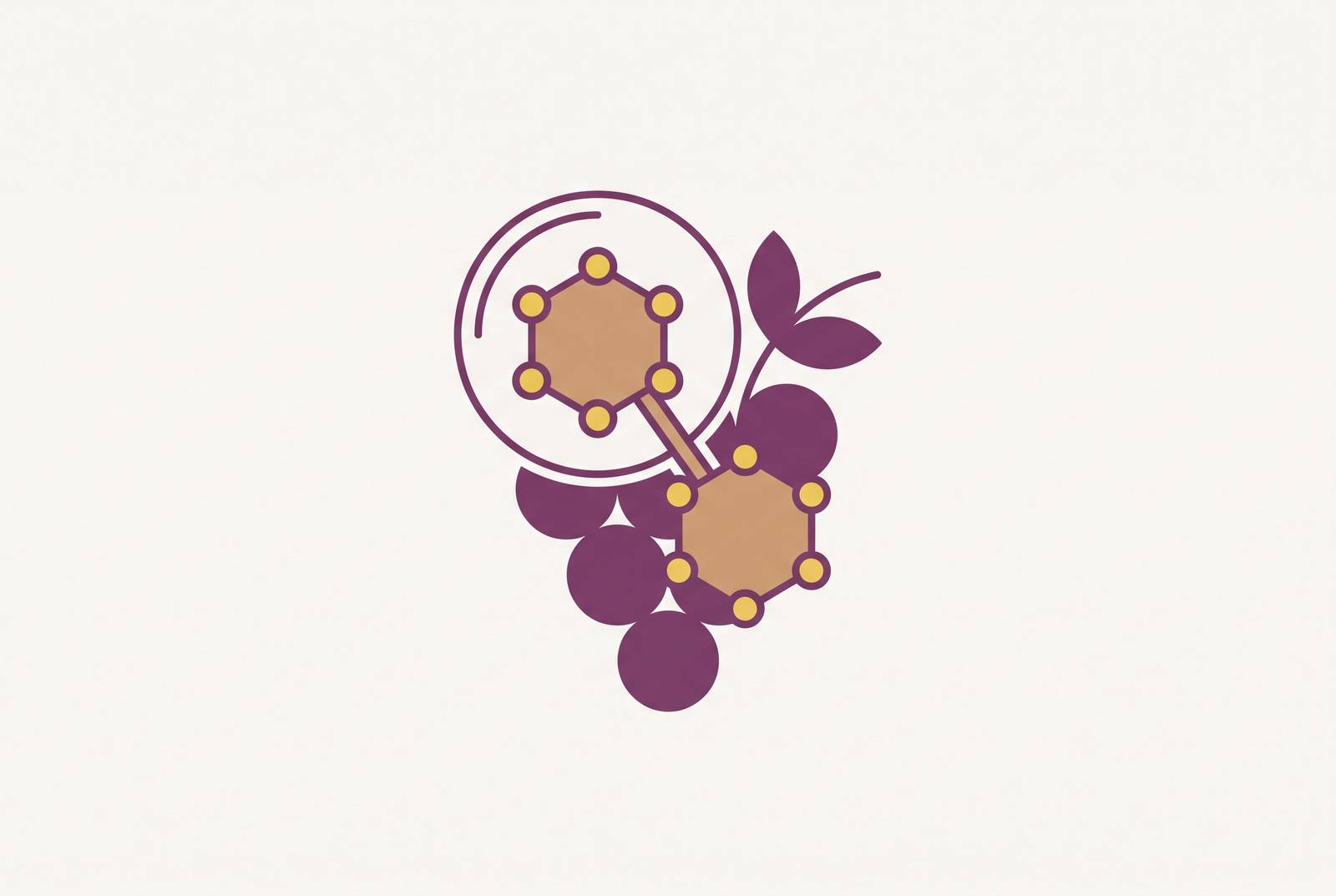 Cover illustration for “Resveratrol Human Evidence After the Sirtris Controversy”