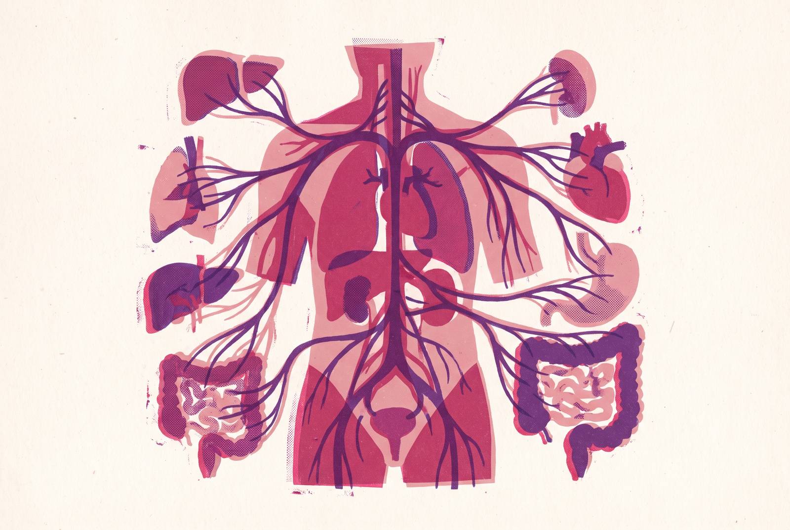 Cover illustration for “EDS and the Autonomic Nervous System”