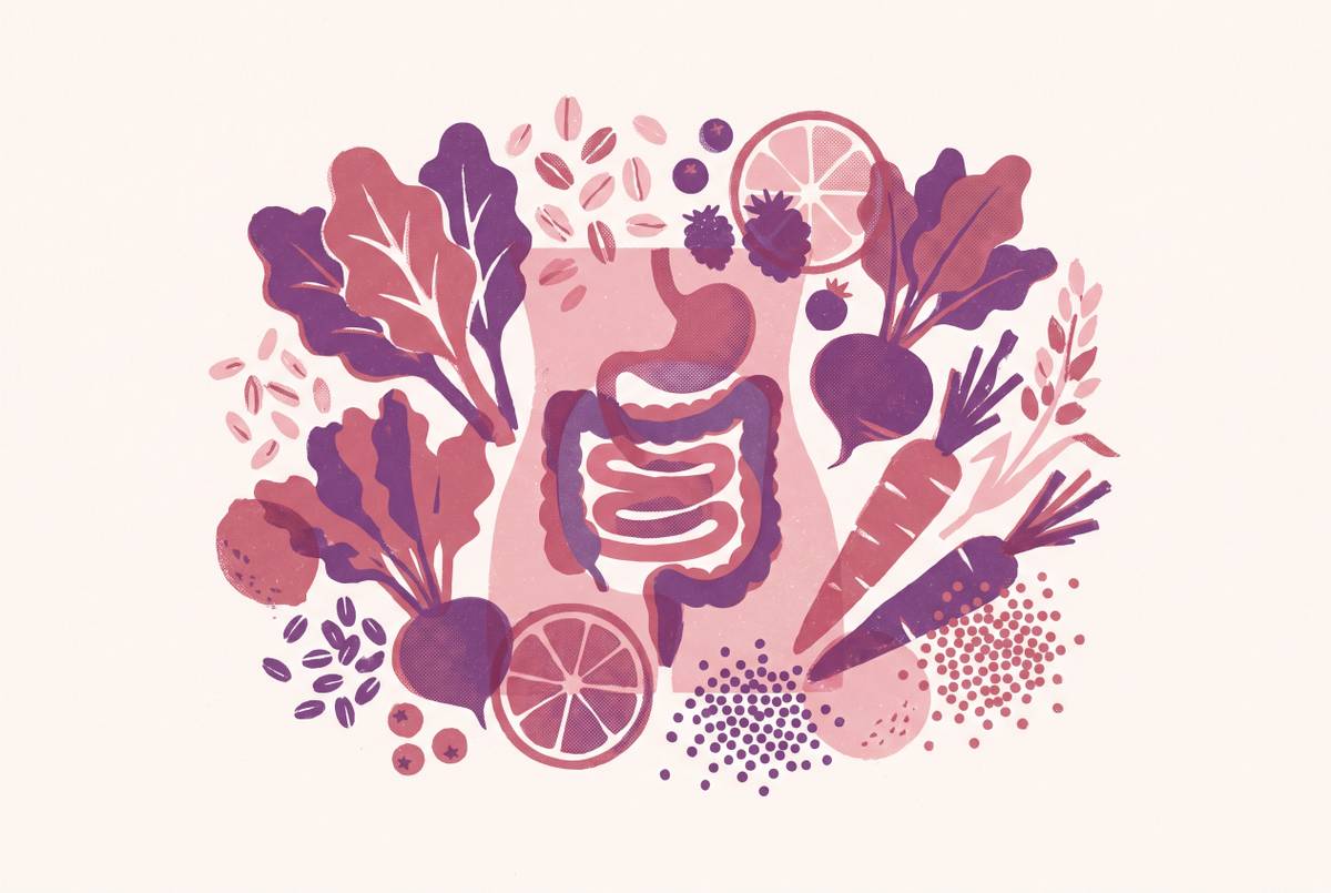 Cover illustration for “Nutrition and Gut Health in EDS”