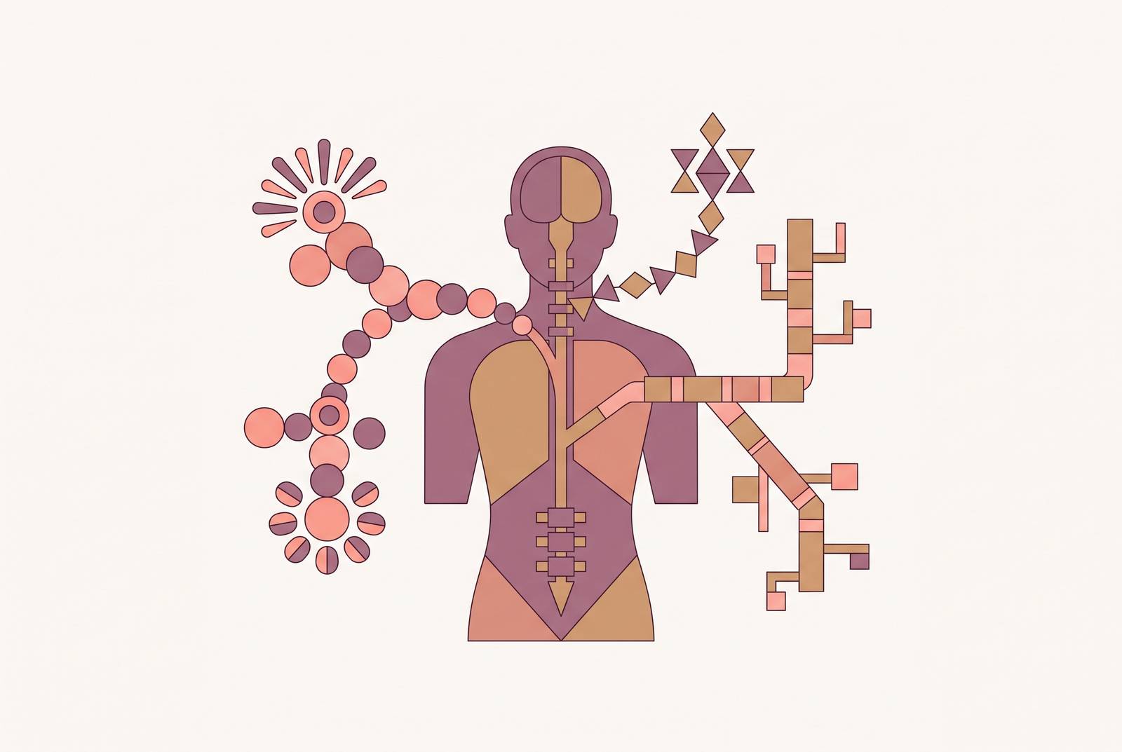 Cover illustration for “Dysautonomia Types and How They Differ”
