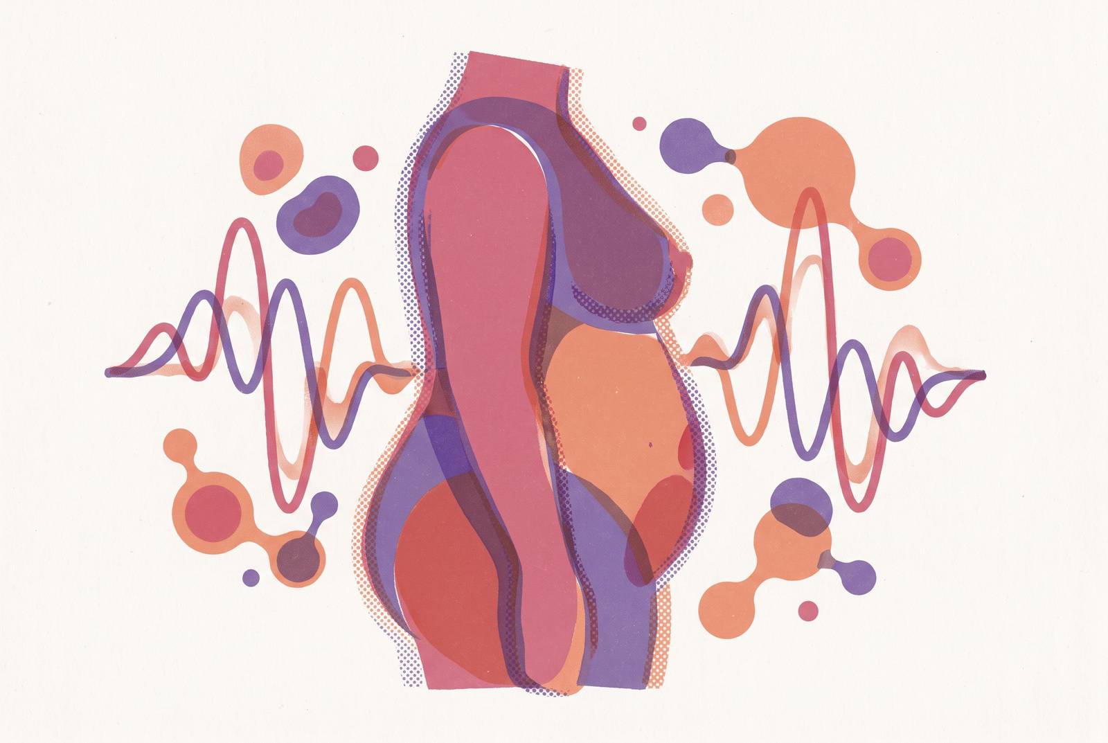 Cover illustration for “Weight Changes During Perimenopause and Hormonal Mechanisms”
