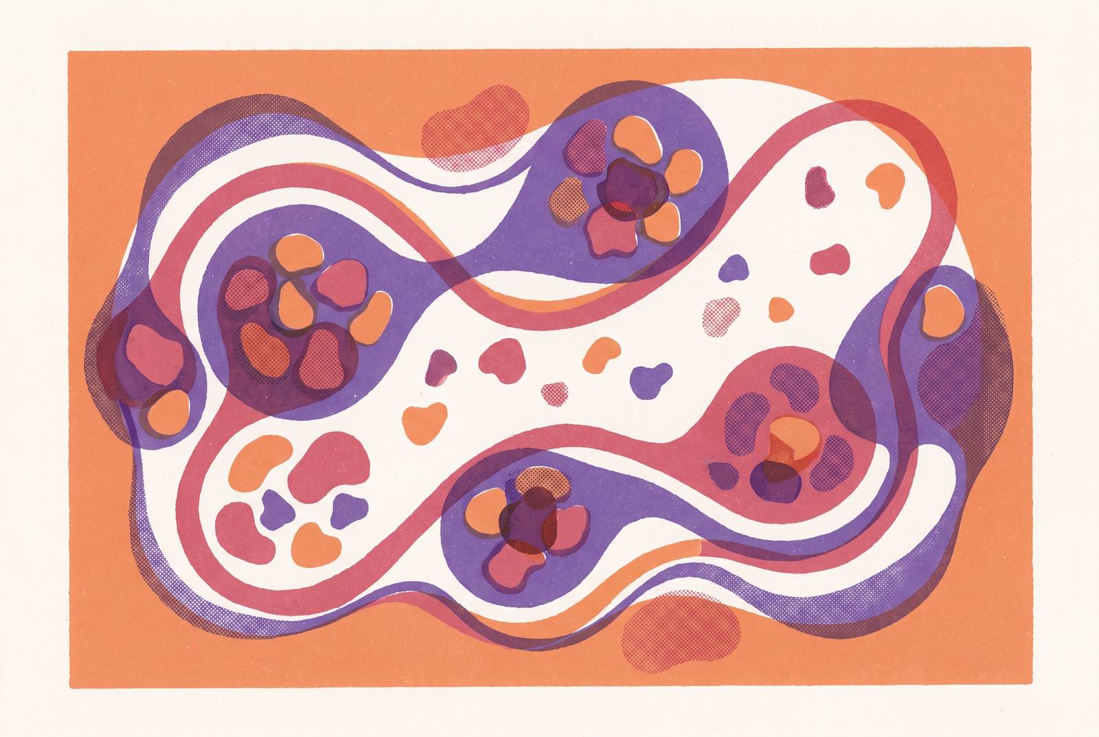 Cover illustration for “What SHBG Does to Hormone Availability in Perimenopause”