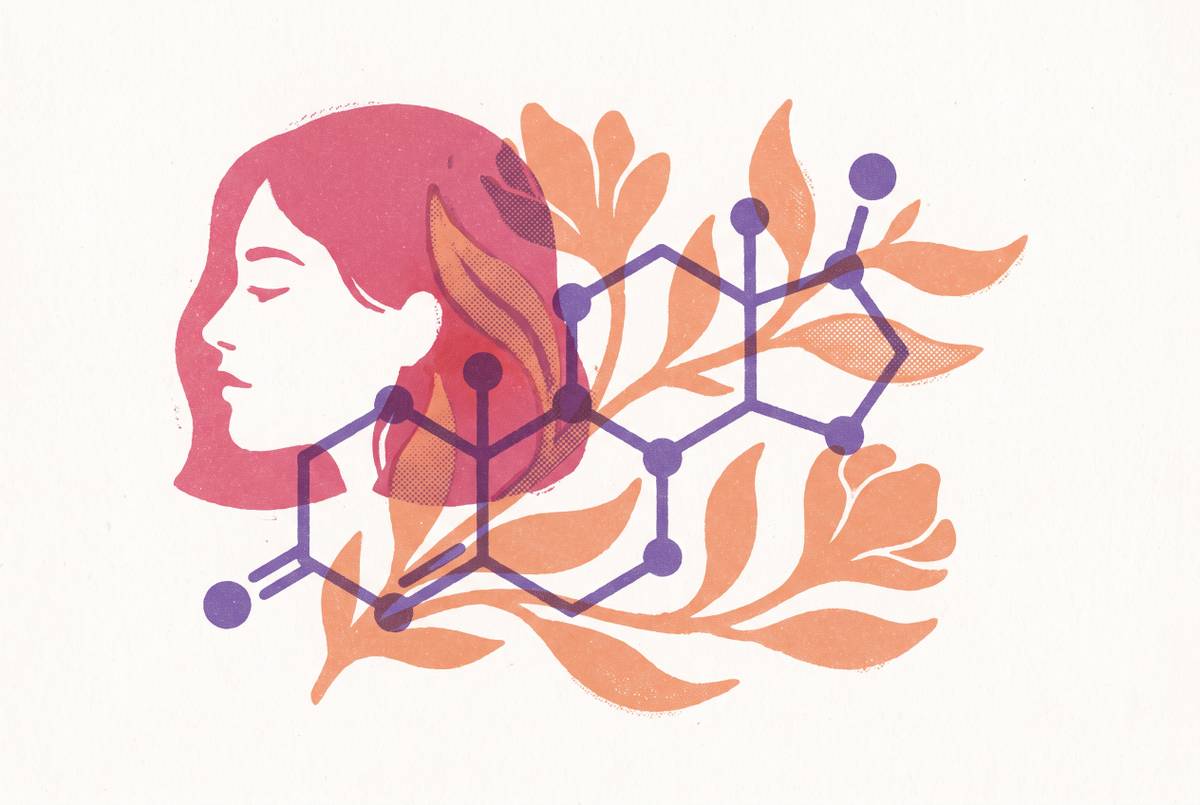 Cover illustration for “Testosterone's Role in Female Hormonal Health During Midlife”