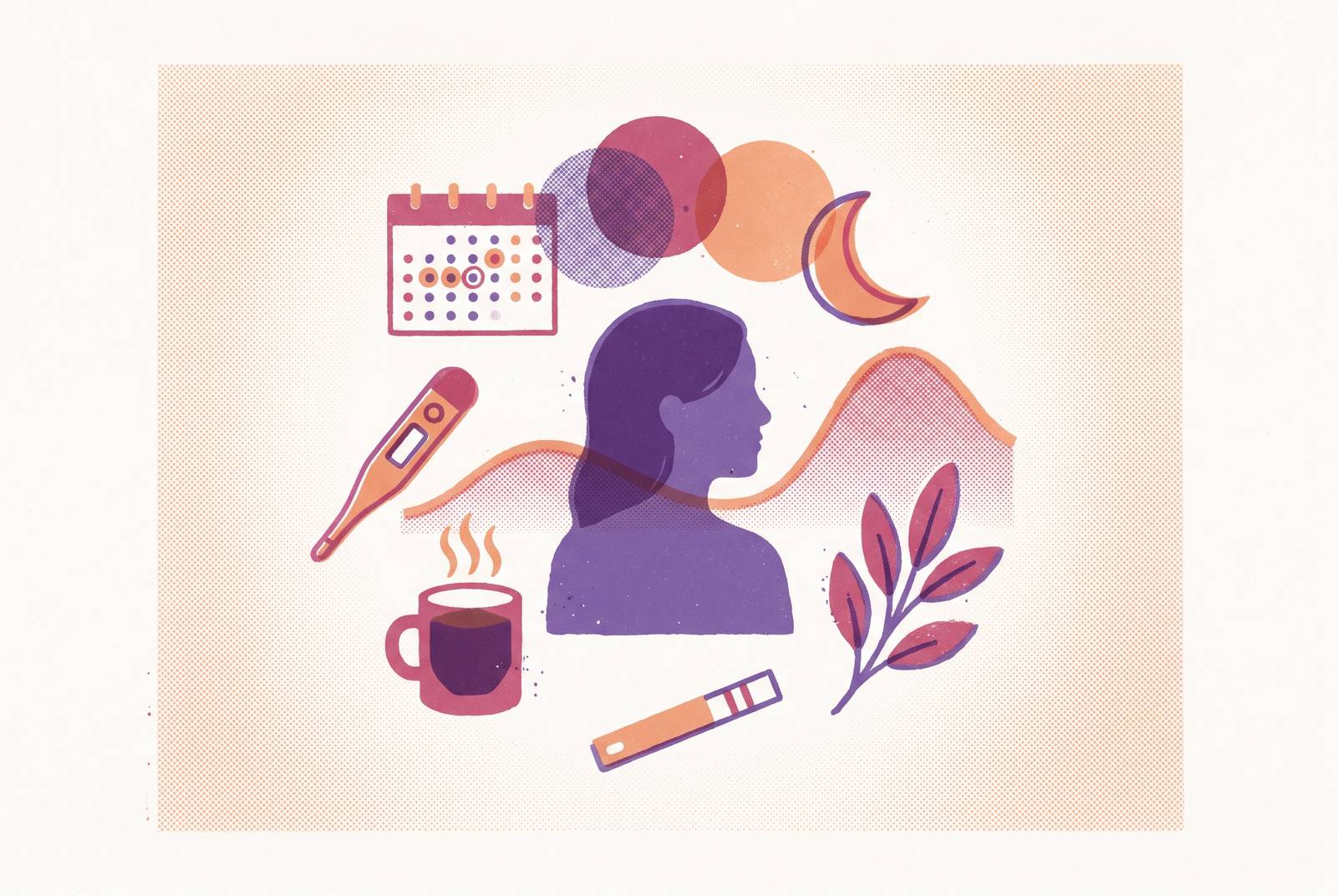 Cover illustration for “Building a Home Hormone Tracking Routine Across the Perimenopause Transition”