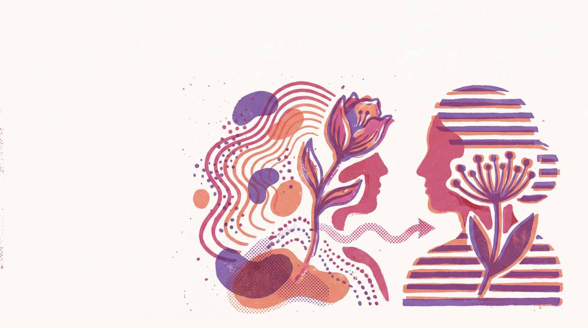 Cover illustration for “Perimenopause vs Menopause Clinical Distinction”