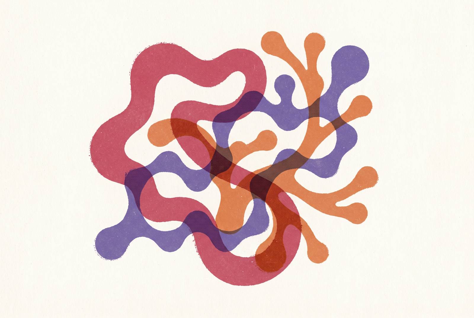 Cover illustration for “How Estrogen, Progesterone, and FSH Interact During Perimenopause”