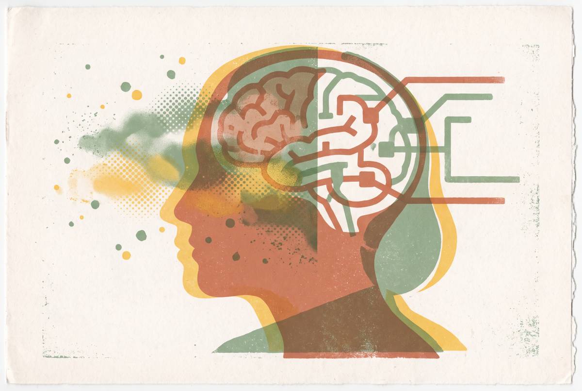 Cover illustration for “Brain Fog Versus Early Cognitive Decline in Midlife Women”