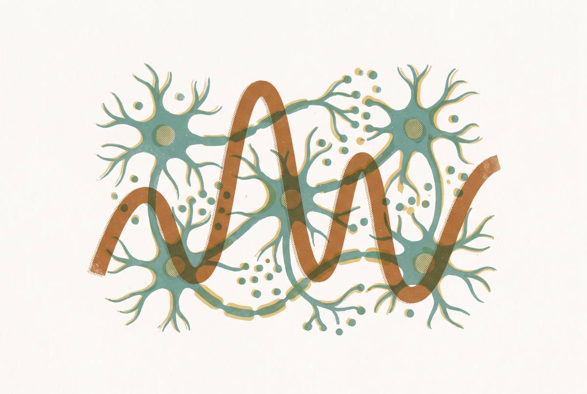 Cover illustration for “Estrogen Fluctuation and Serotonin System Instability”