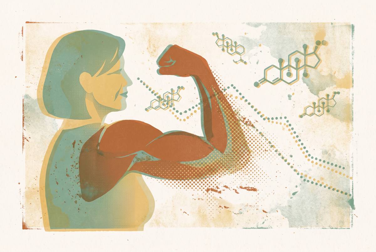 Cover illustration for “Muscle Loss and Anabolic Hormone Decline in Midlife Women”