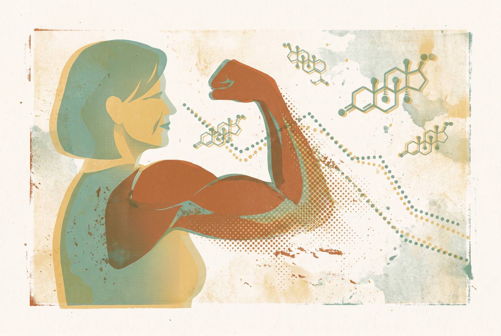 Cover illustration for “Muscle Loss and Anabolic Hormone Decline in Midlife Women”