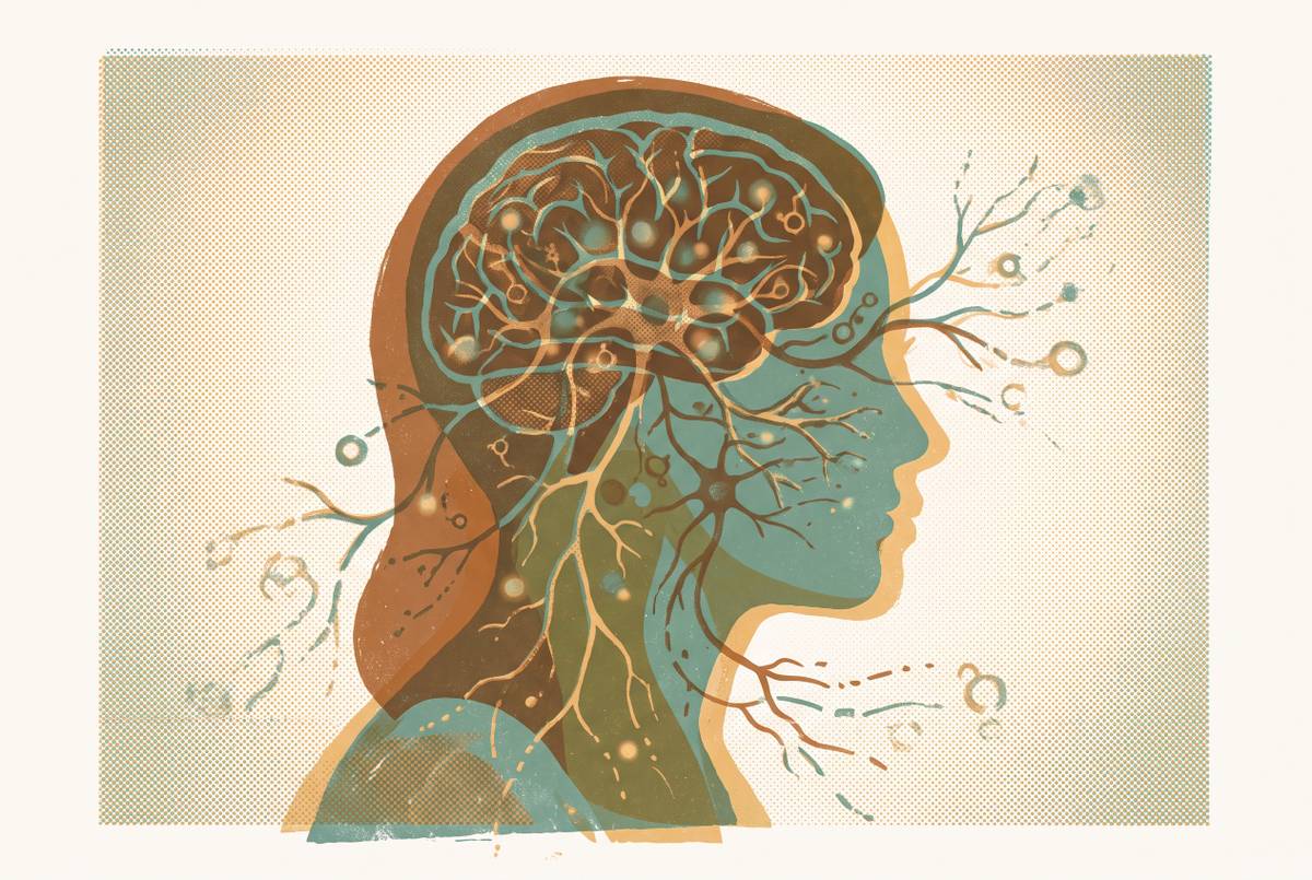 Cover illustration for “B12 Deficiency and Neurological Fatigue in Perimenopausal Women”