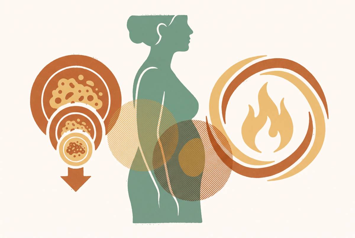 Cover illustration for “Why Calorie Restriction Fails for Perimenopausal Weight Gain”