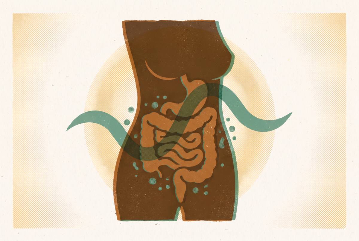 Cover illustration for “IBS Diagnosis and the Hormonal Gut Connection in Perimenopause”
