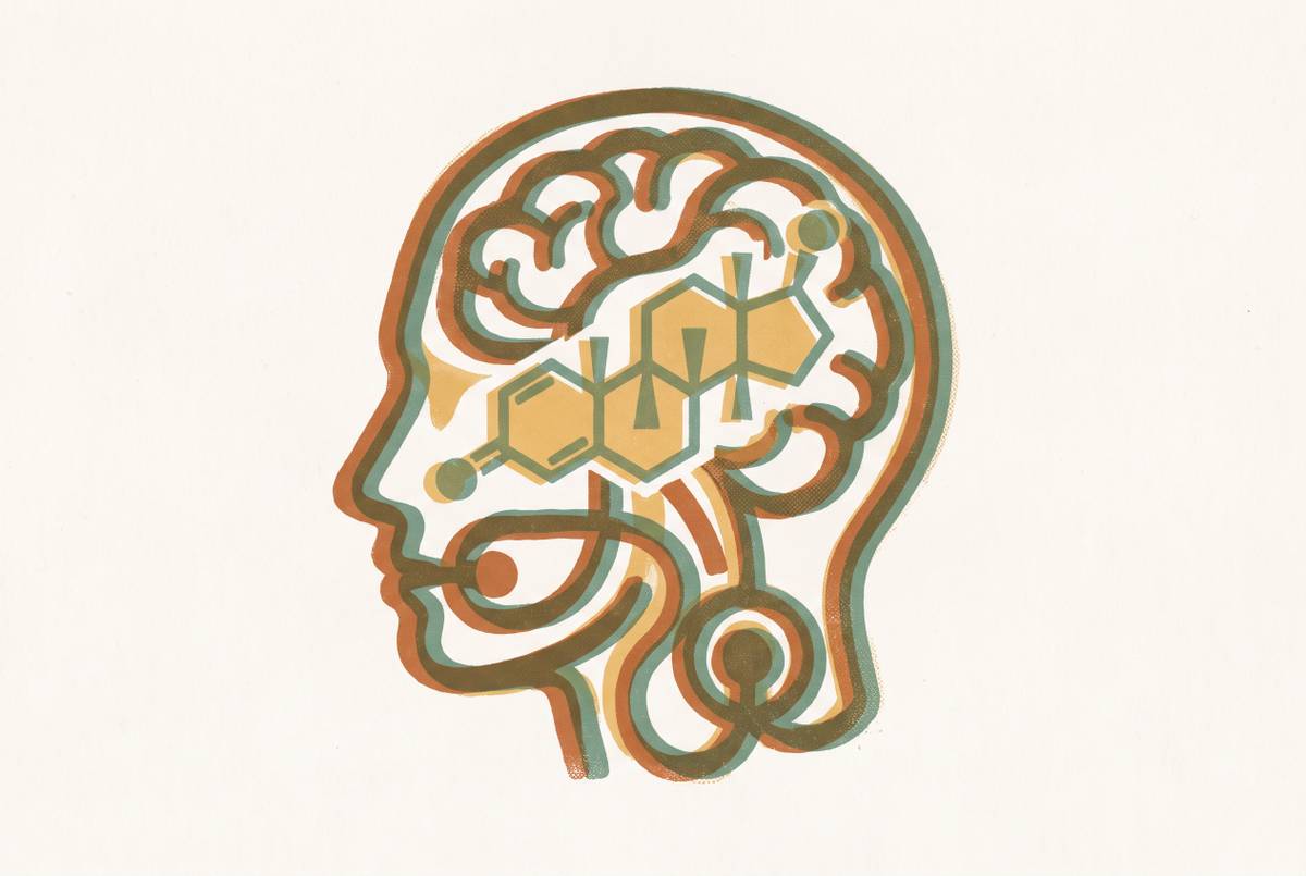 Cover illustration for “Estrogen's Role in Memory and Working Cognition”