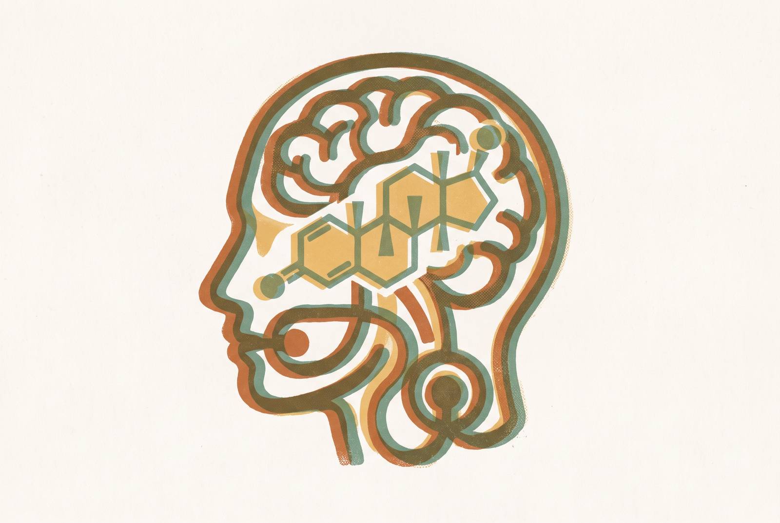 Cover illustration for “Estrogen's Role in Memory and Working Cognition”