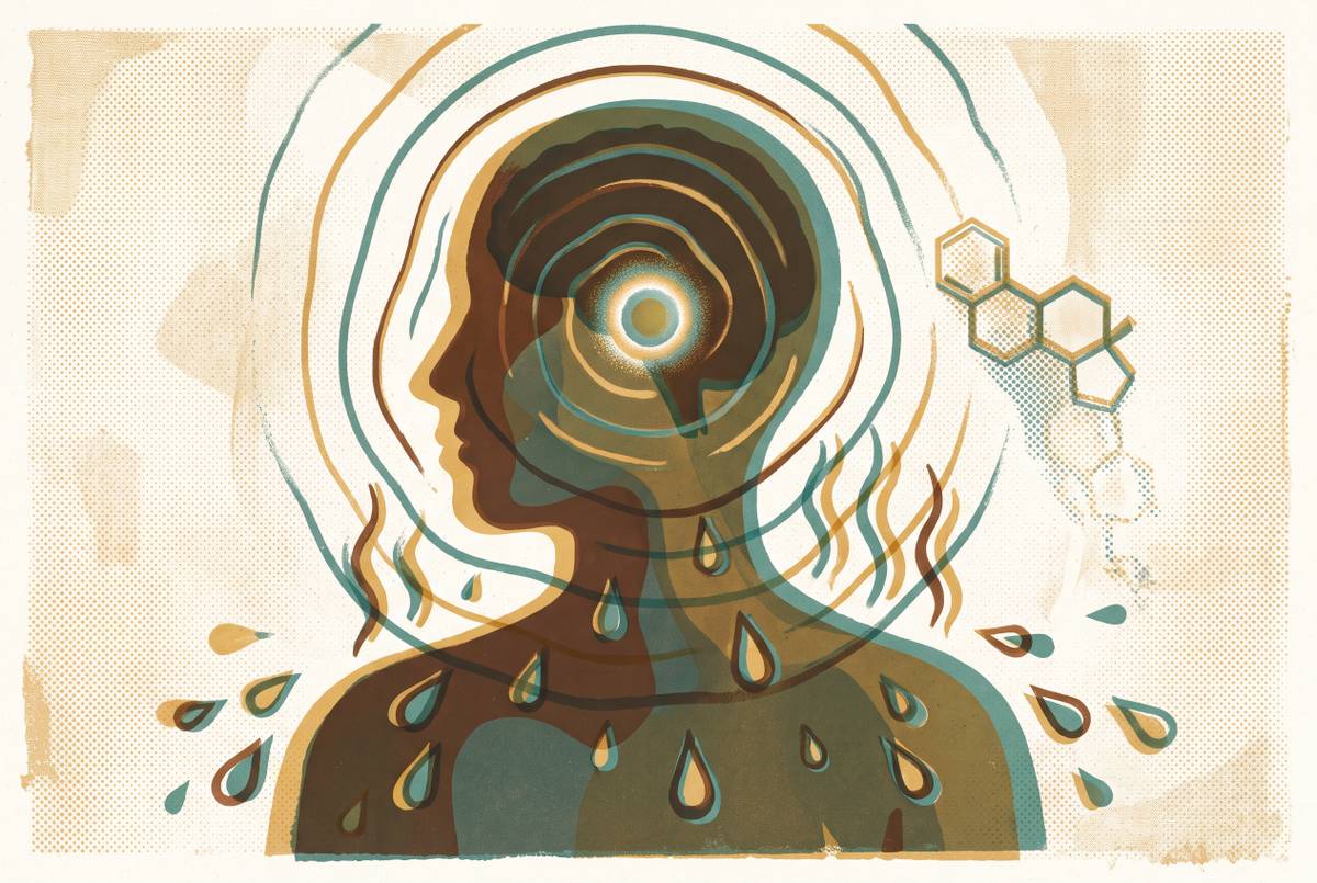 Cover illustration for “Estrogen Withdrawal and Night Sweats Mechanism”