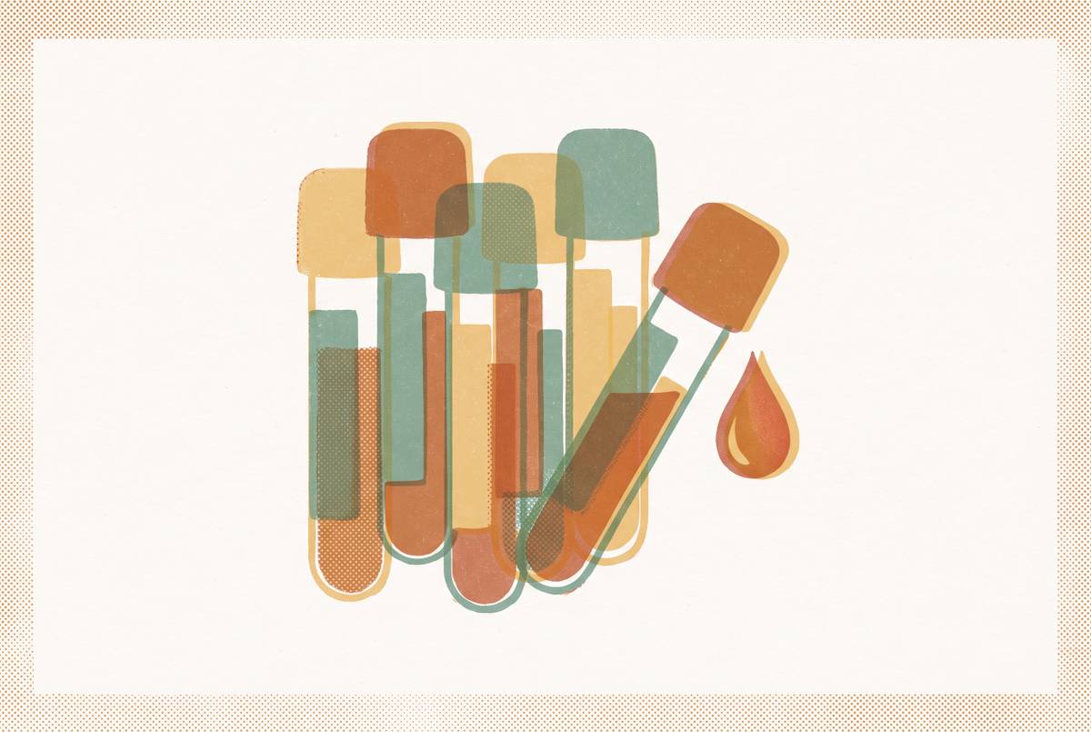 Cover illustration for “Fatigue Blood Panel for Perimenopausal Women”