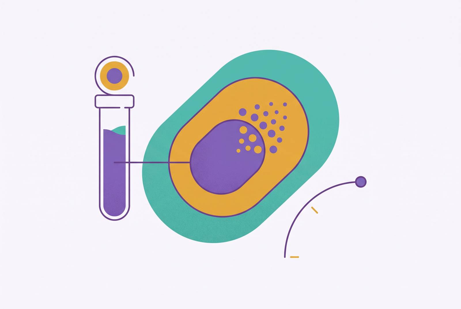 Cover illustration for “AMH Testing for Ovarian Reserve Outside Fertility Contexts”