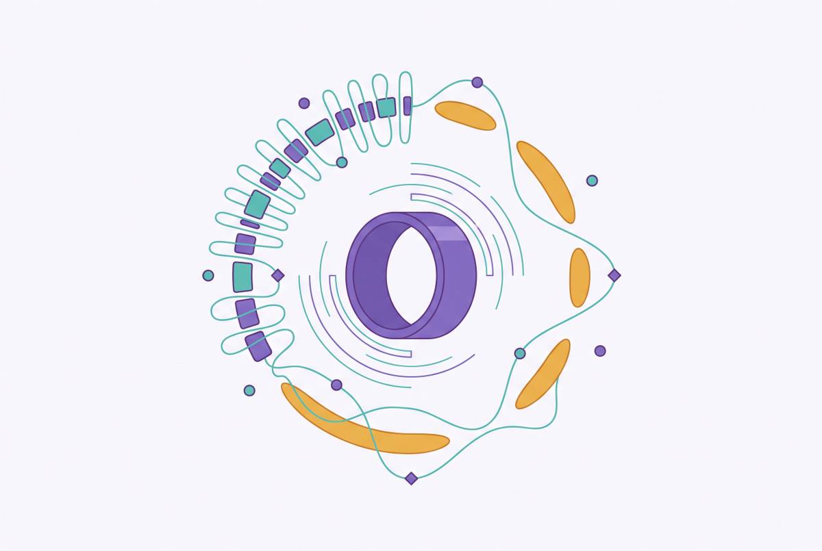 Cover illustration for “Wearable Cycle Tracking Accuracy in Irregular Perimenopause Cycles”